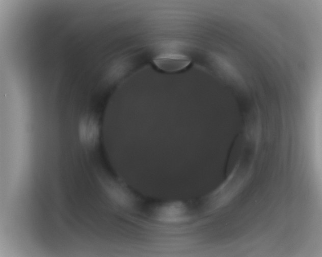 X0000113980124200910091326