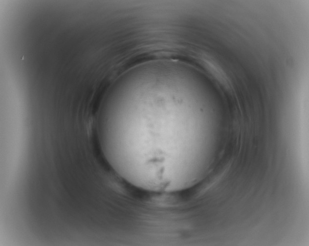 X0000113980125200910091326