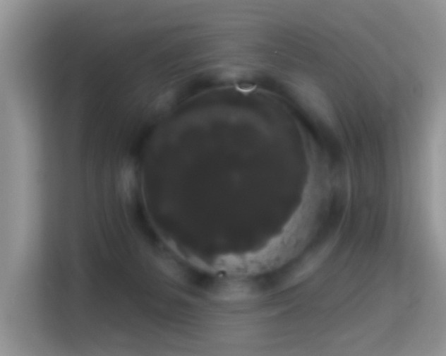 X0000113980127200910091326