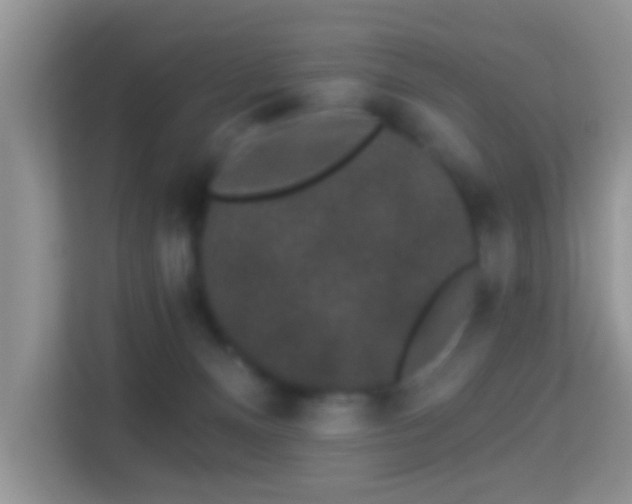 X0000113980128200910091326