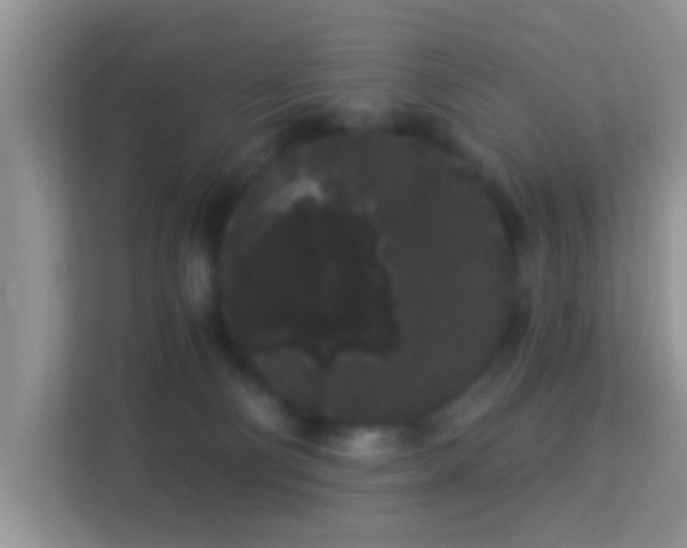 X0000113980130200910091326