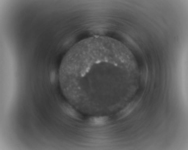 X0000113980134200910091325