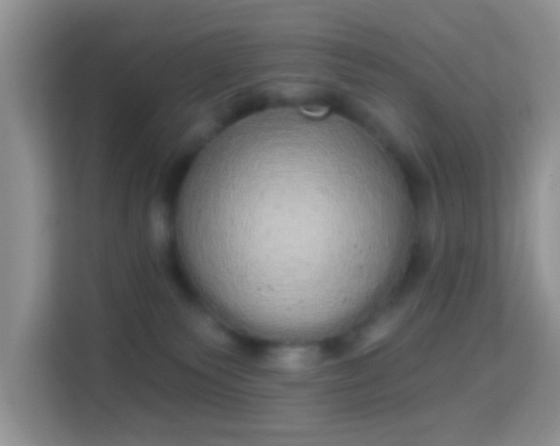 X0000113980135200910091325