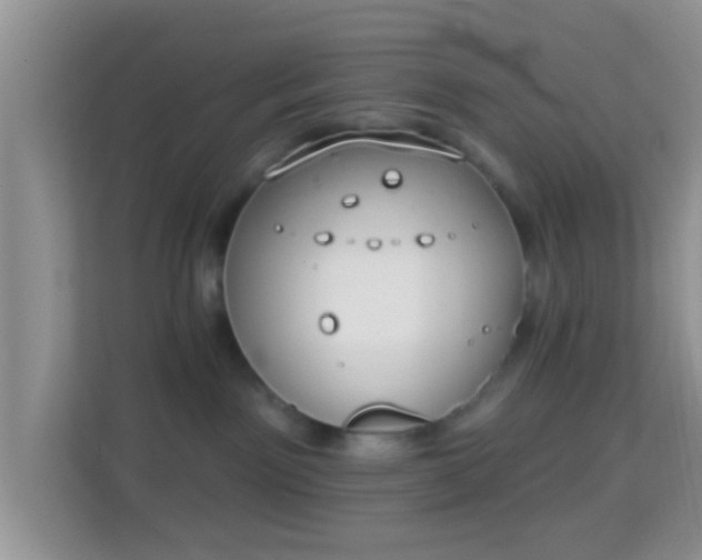 X0000113980141200910091325