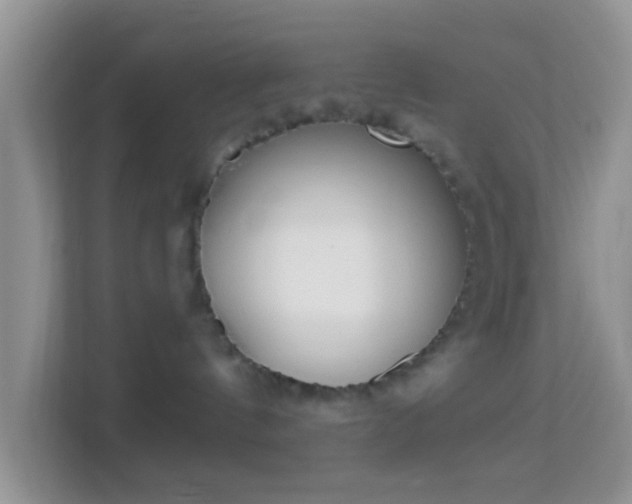 X0000113980144200910091325