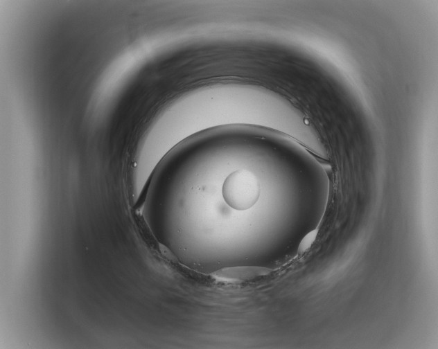 X0000113980146200910091325