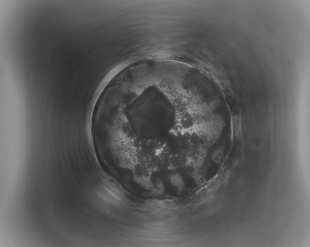 X0000113980147200910091325