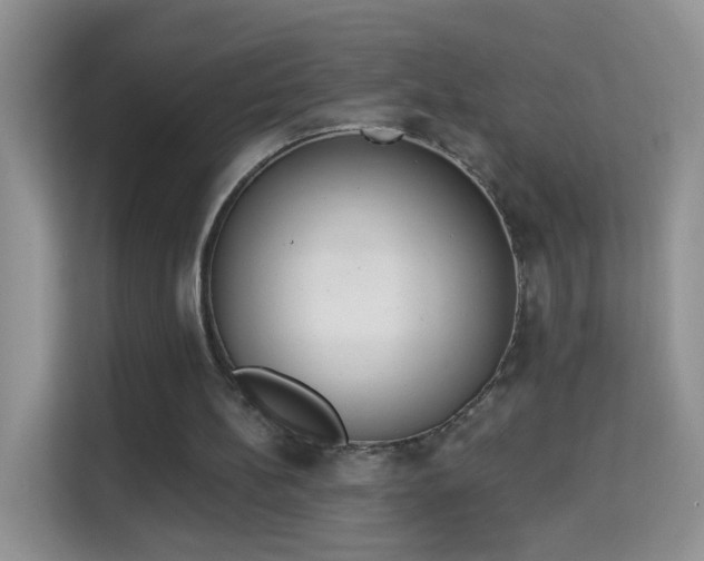 X0000113980148200910091325