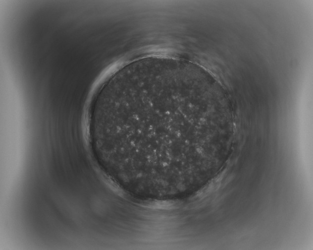 X0000113980149200910091325