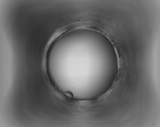 X0000113980150200910091325