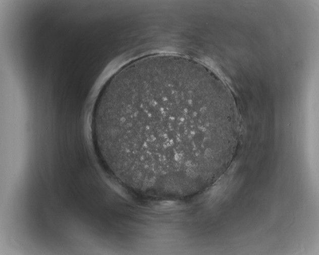 X0000113980151200910091325