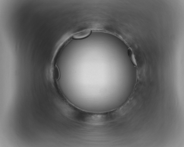 X0000113980152200910091325