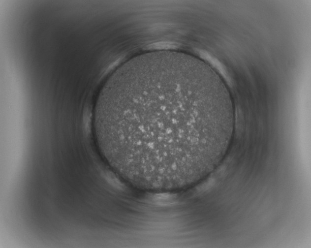 X0000113980153200910091325