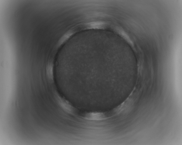 X0000113980154200910091325