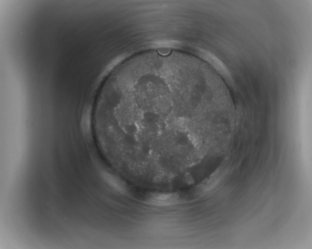 X0000113980155200910091325