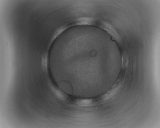 X0000113980156200910091325