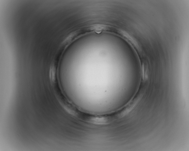 X0000113980157200910091325