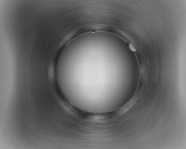 X0000113980158200910091325