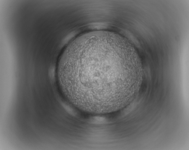 X0000113980159200910091325