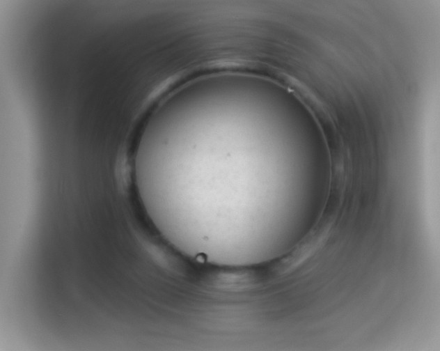 X0000113980160200910091325