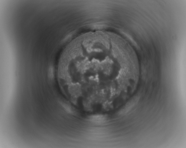 X0000113980161200910091325