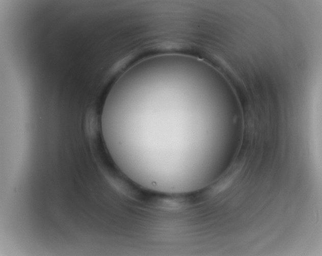 X0000113980164200910091325