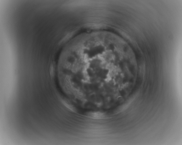 X0000113980165200910091325