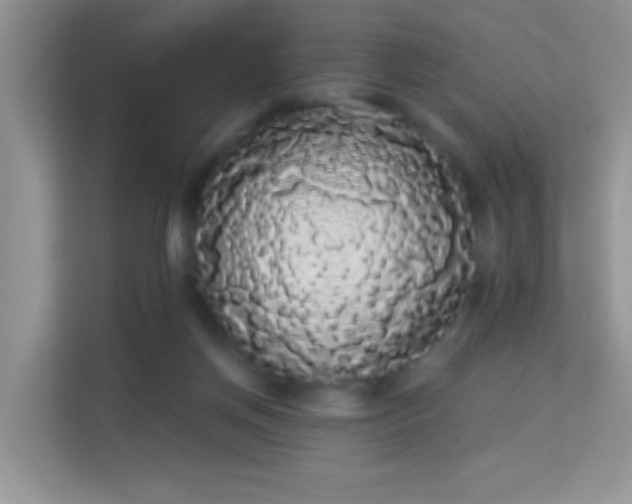 X0000113980166200910091325