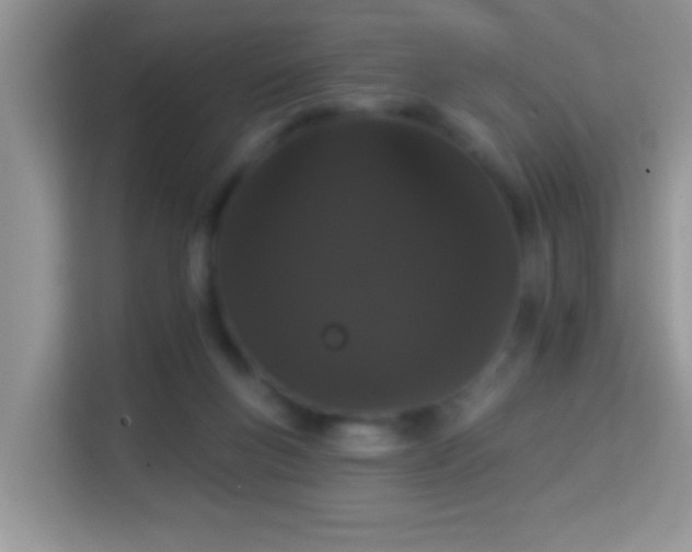 X0000113980167200910091325