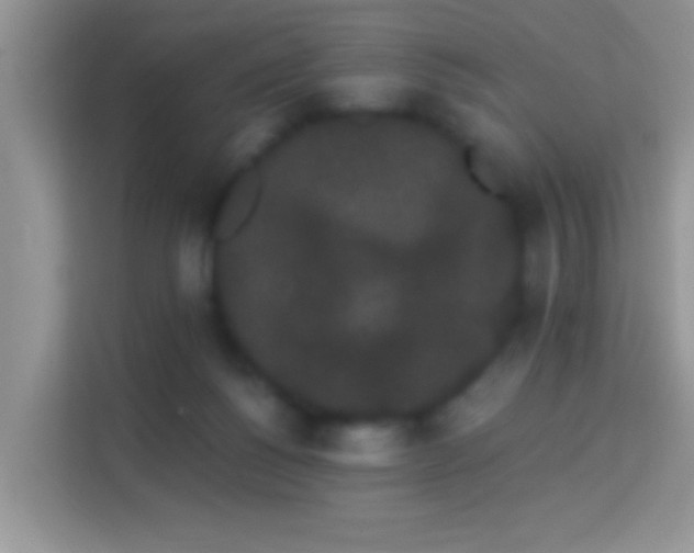 X0000113980168200910091325