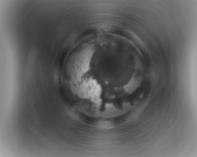 X0000113980169200910091325