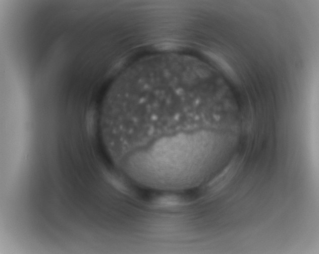 X0000113980171200910091325