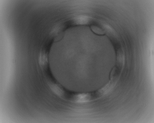 X0000113980172200910091325