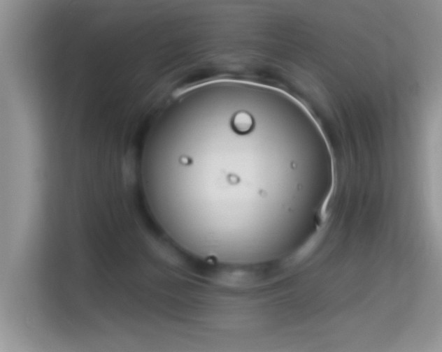 X0000113980174200910091325