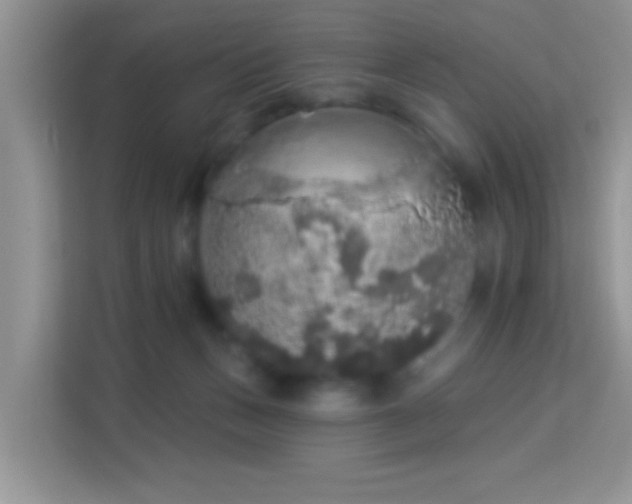 X0000113980175200910091325