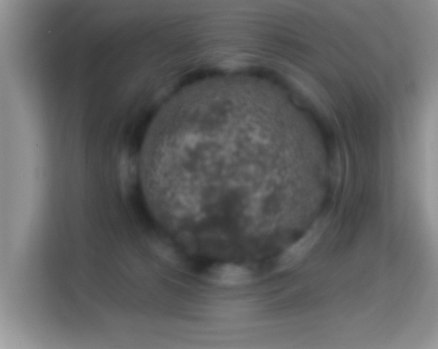 X0000113980180200910091325