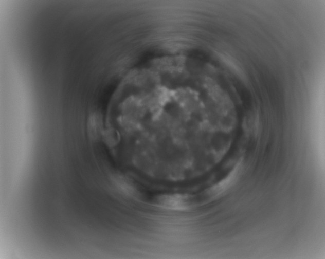 X0000113980182200910091325