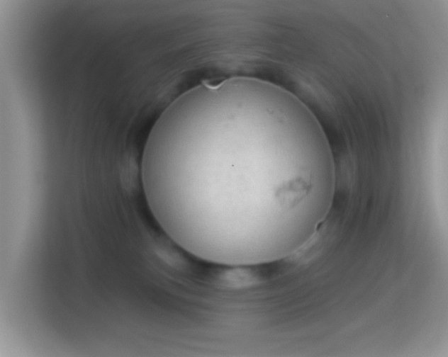 X0000113980183200910091325