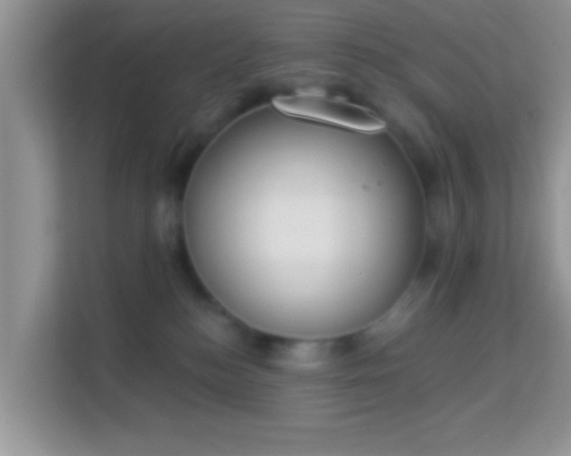 X0000113980184200910091325