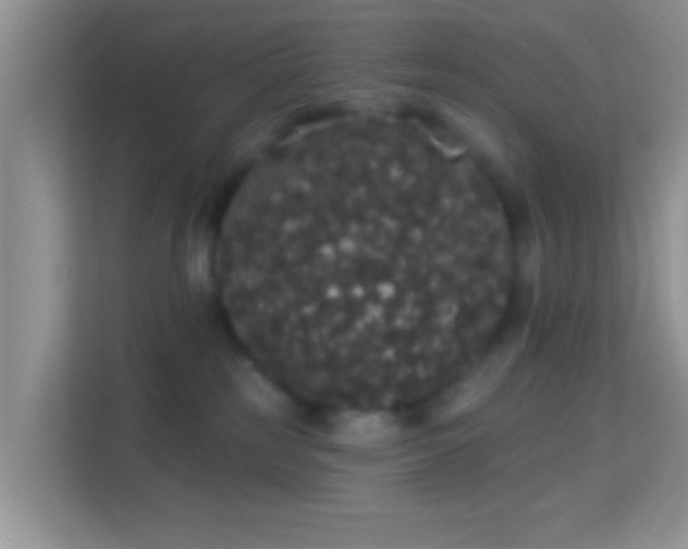 X0000113980185200910091325