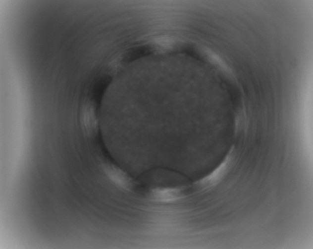 X0000113980186200910091325