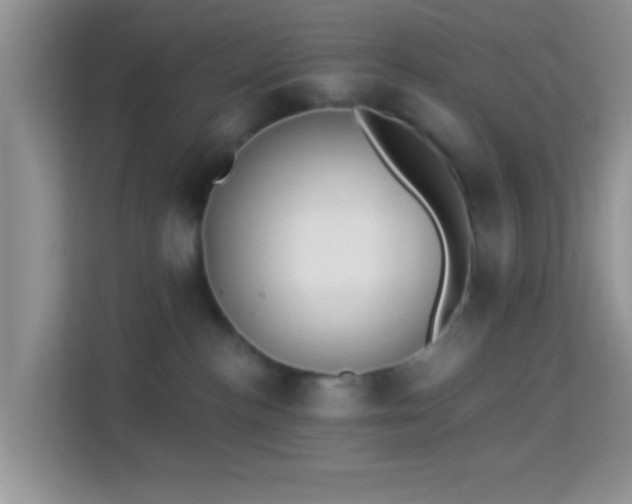 X0000113980188200910091325