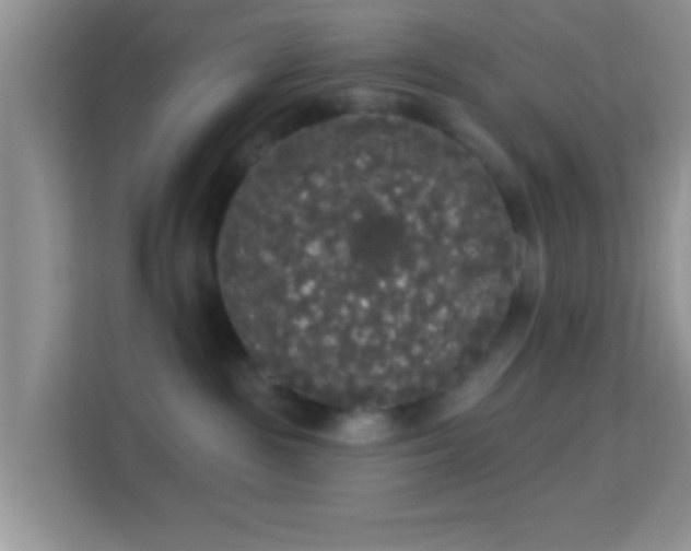 X0000113980189200910091325