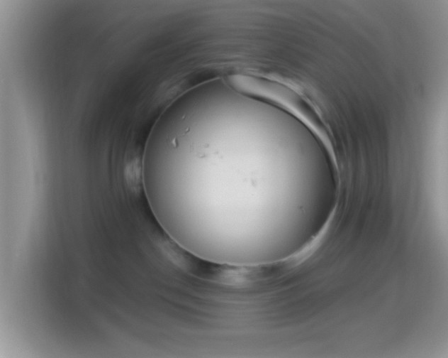 X0000113980190200910091325