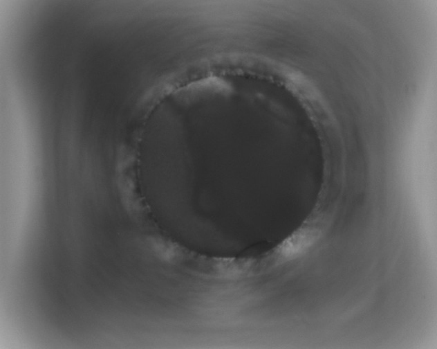 X0000113980192200910091325