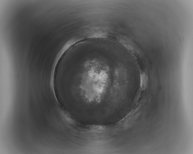 X0000113980195200910091325