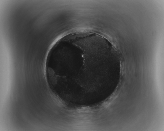 X0000113980196200910091325