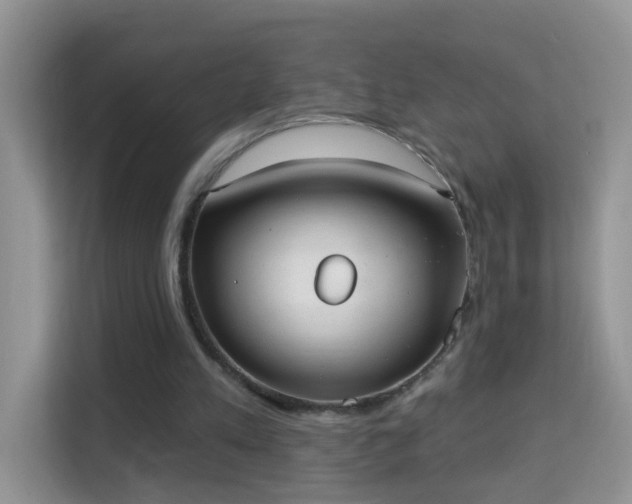 X0000113980197200910091325