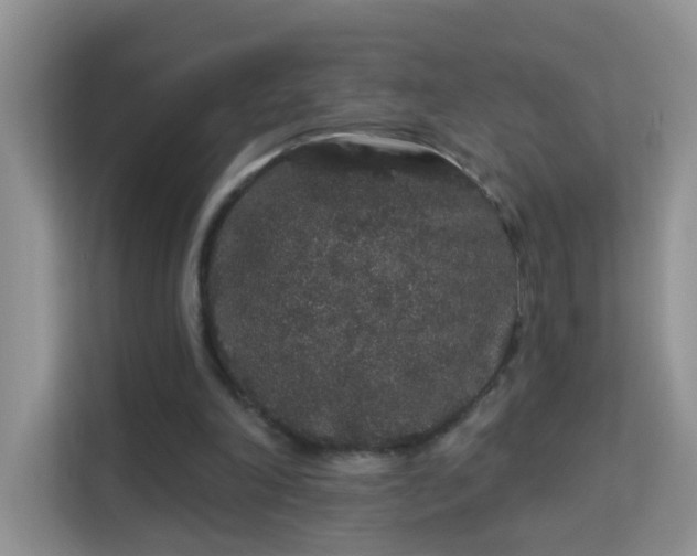 X0000113980198200910091325