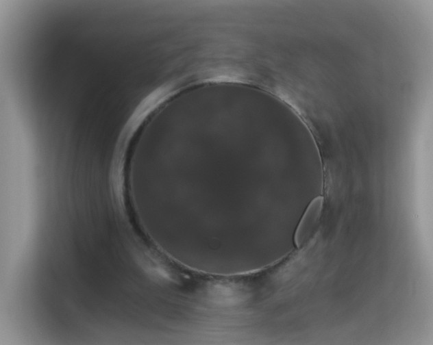 X0000113980199200910091325